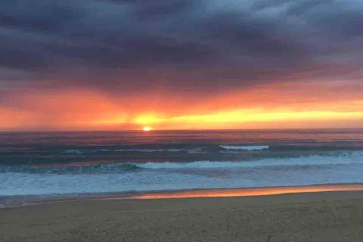 La Graviere, Cozy Studio Wifi & Parking 20M Ocean Surf Plage Soorts-Hossegor ภายนอก รูปภาพ