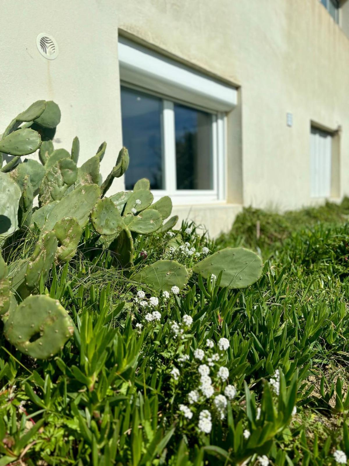 La Graviere, Cozy Studio Wifi & Parking 20M Ocean Surf Plage Soorts-Hossegor ภายนอก รูปภาพ
